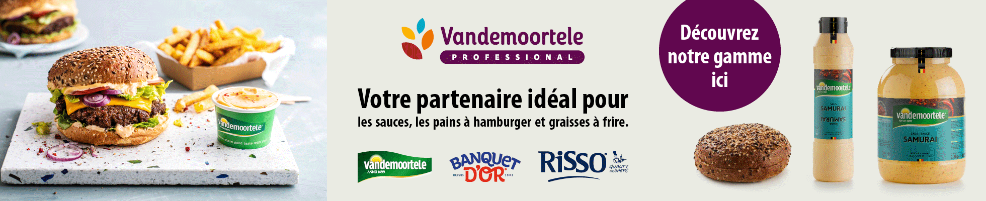 vdm-FR